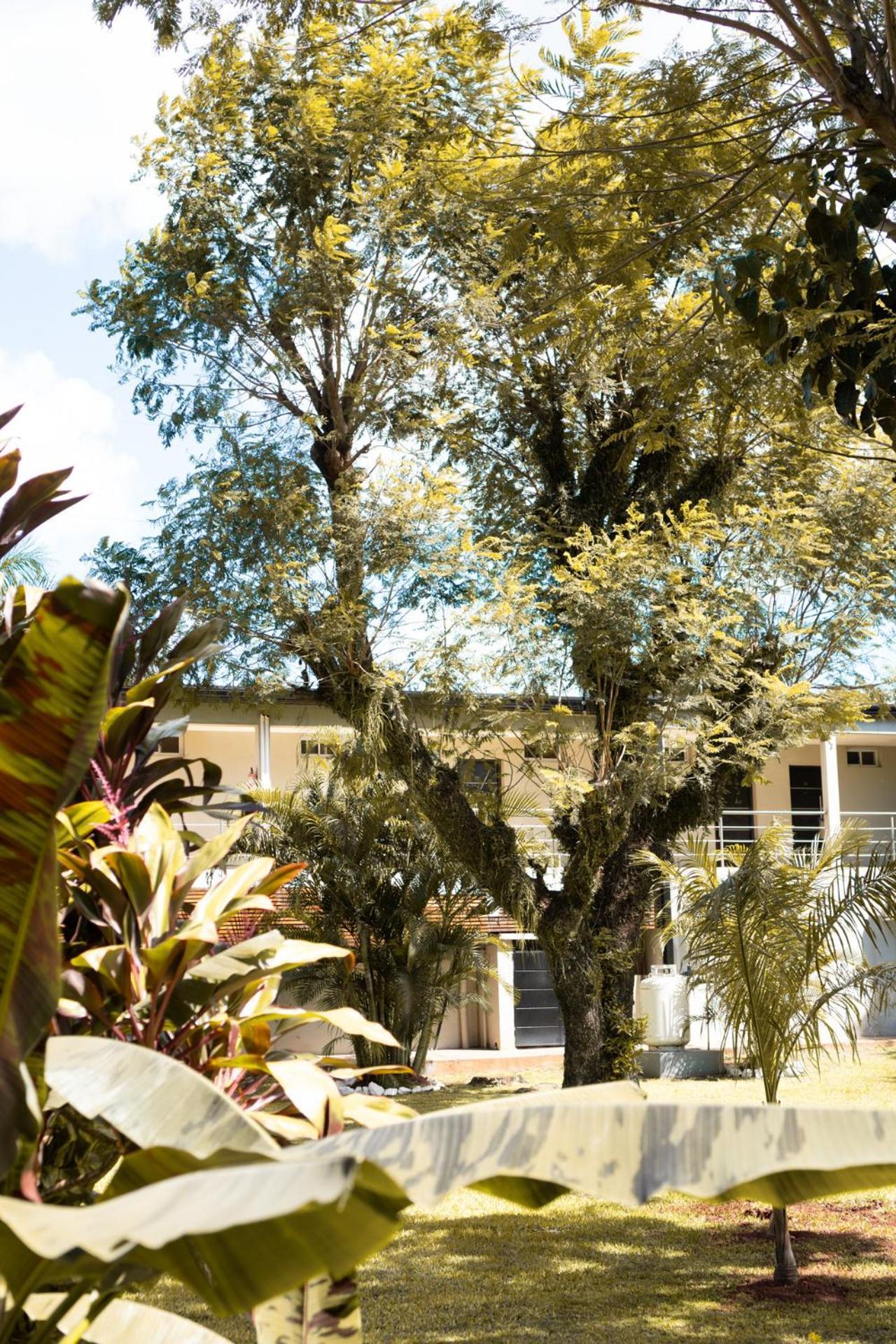 Hotel Oaky Posadas Dış mekan fotoğraf